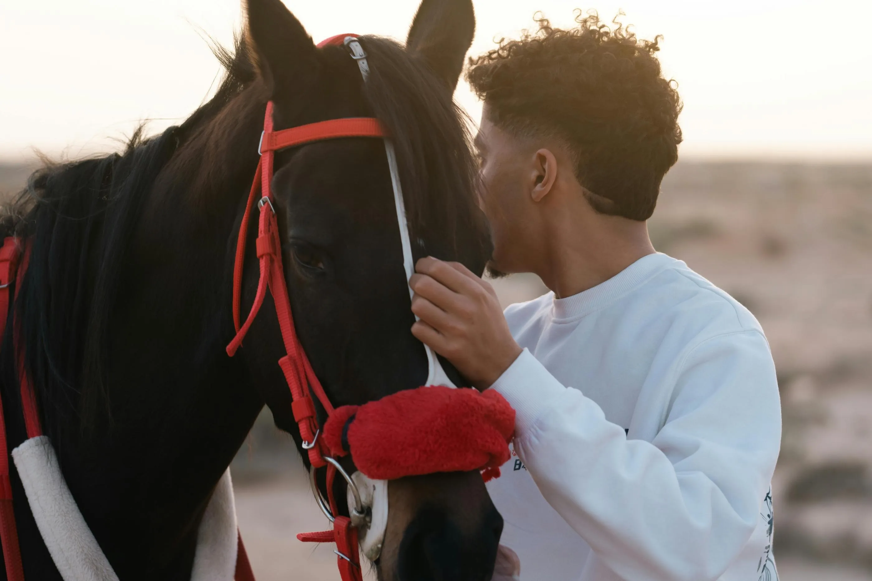 A man strokes the head of a horse equipped with a red harness, against a backdrop of a beach at sunset.