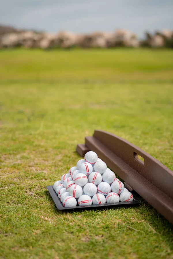 Un seau de balles de golf blanches avec des inscriptions rouges est posé sur l'herbe, à côté d'un banc en bois, avec des moutons en arrière-plan